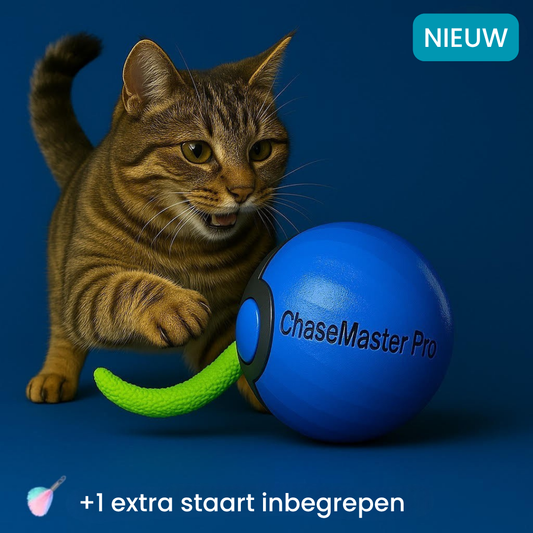 katteballetje