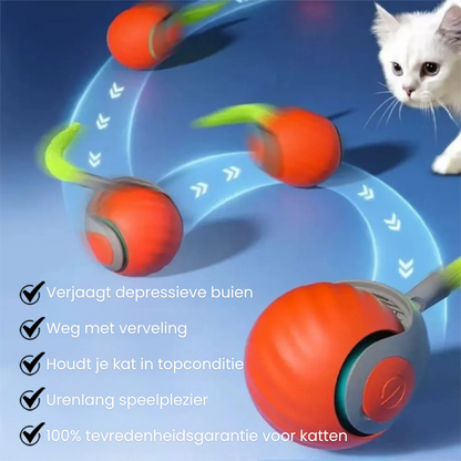 katteballetje