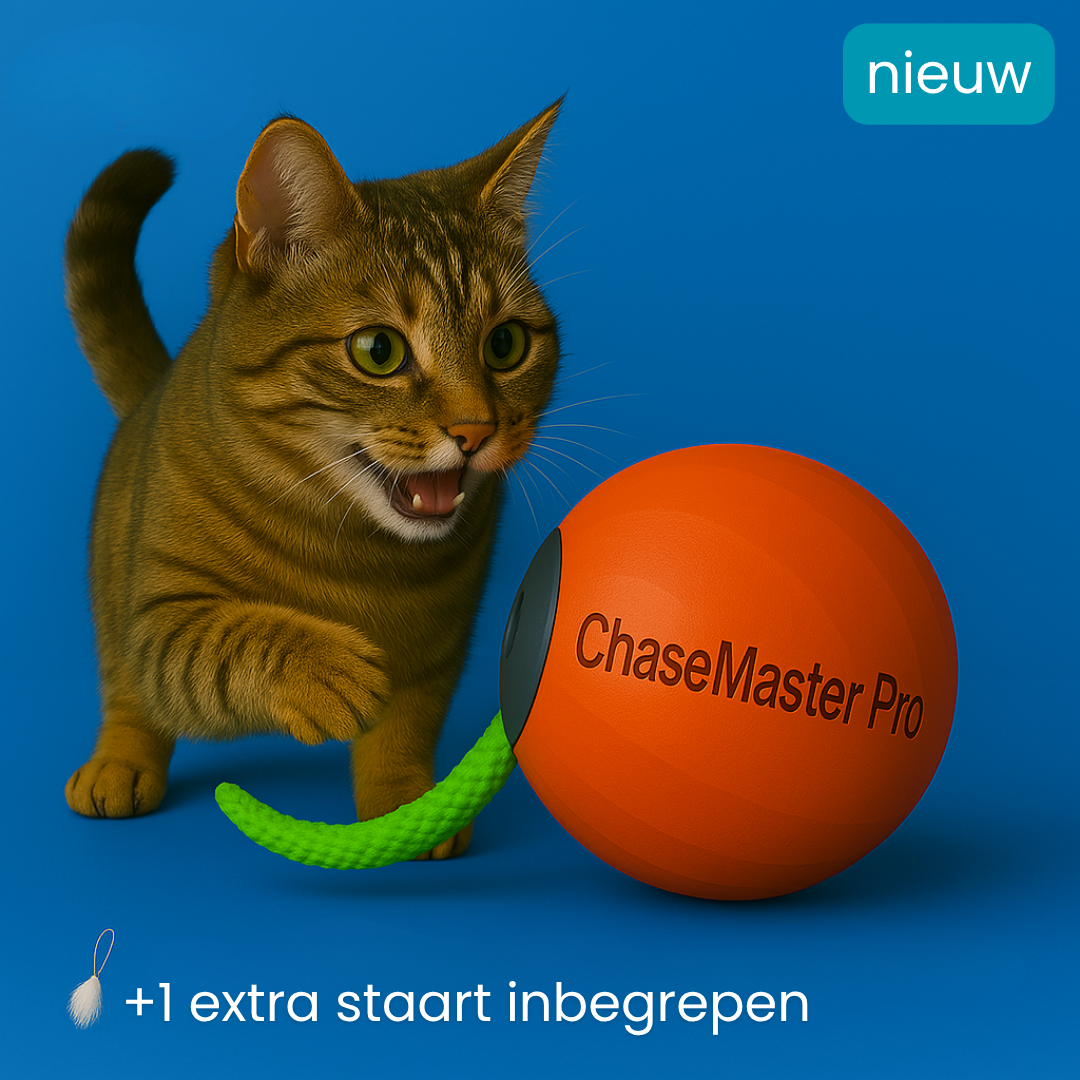 katteballetje