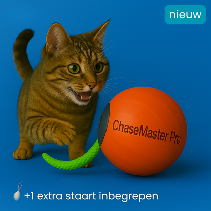 katteballetje