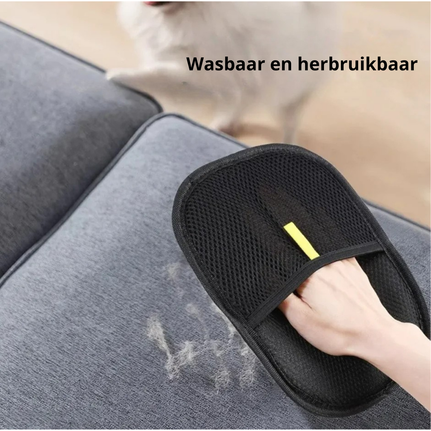 CleanPawn™ Haarverwijder pad